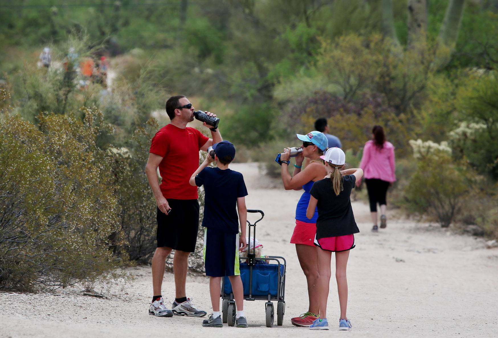 Hiking in Sabino Canyon